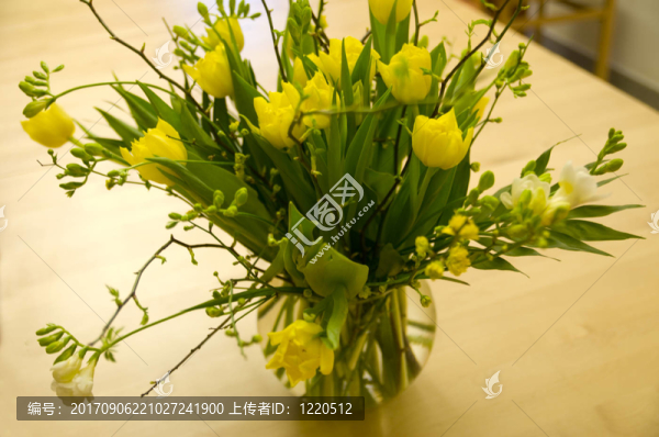 郁金香花束