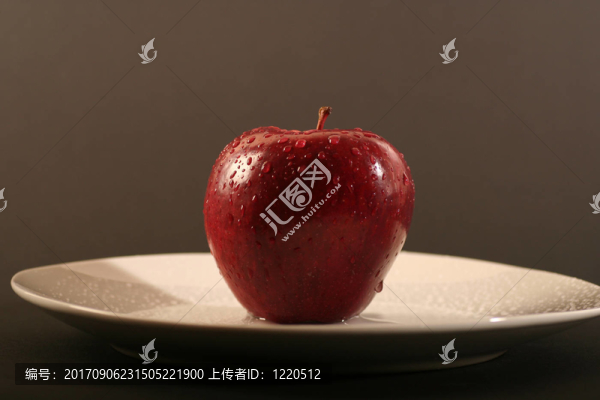 簡介