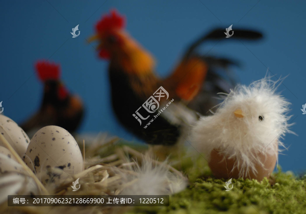復(fù)活節(jié)小雞