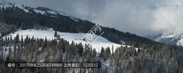 牧場