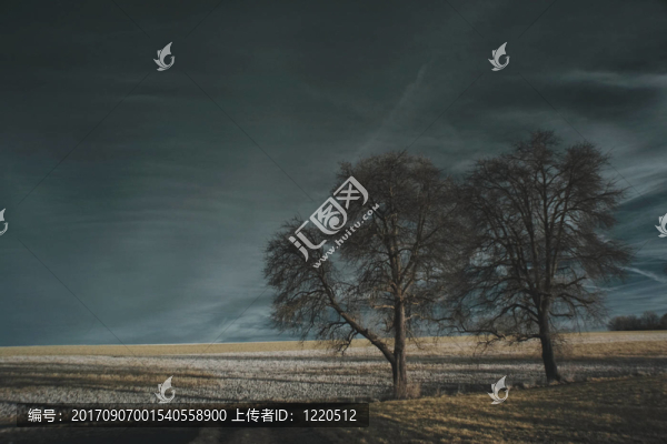 兩