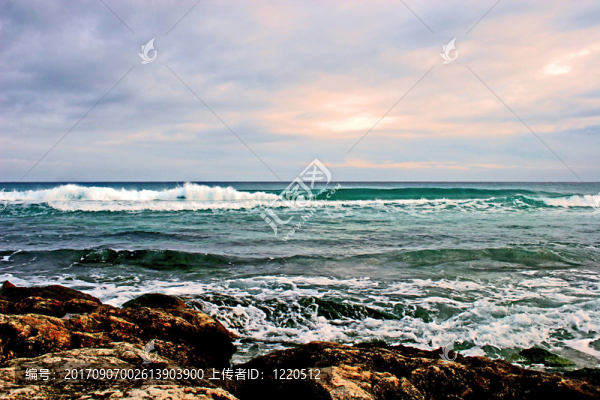 海