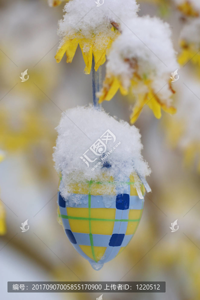 開(kāi)花