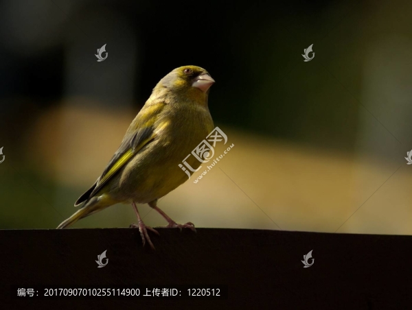 上面發(fā)生什么事了？