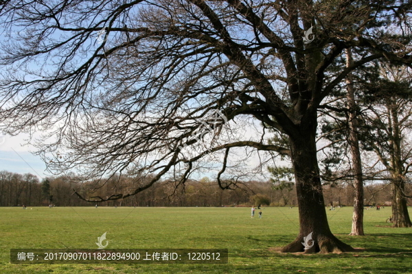 城市公園