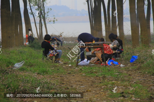 樹林中燒烤