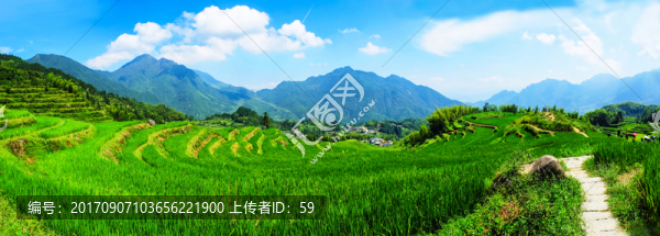 梯田