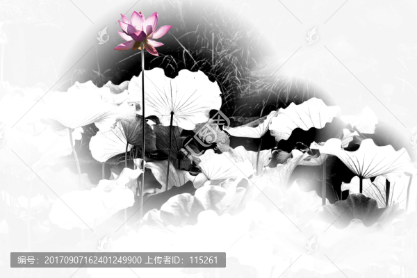 一點(diǎn)紅荷花水墨