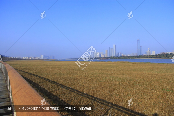 長沙河西湘江風光帶