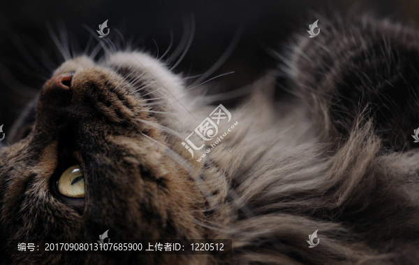 宿醉