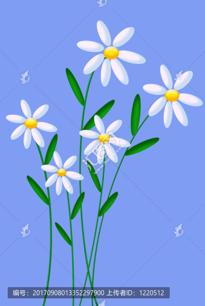 春天的花朵