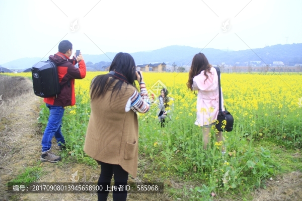 油菜花海中拍人像