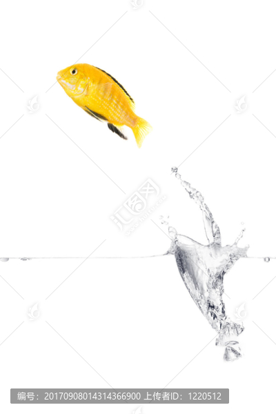 能量