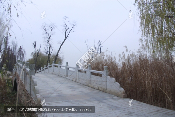 巴溪洲