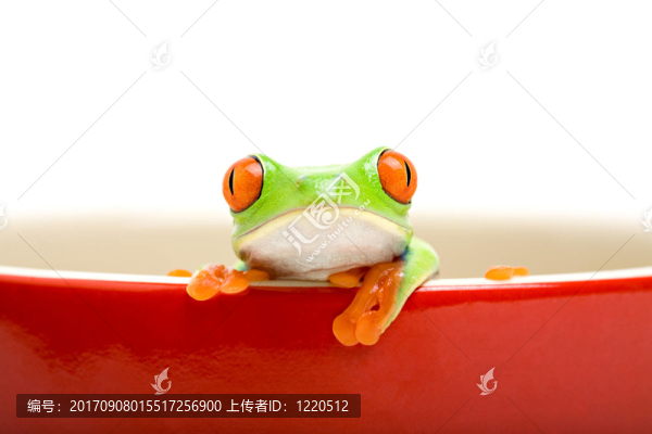 宏觀上