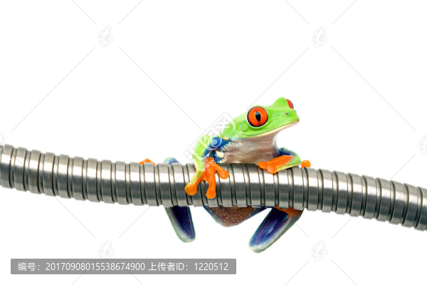 宏觀上