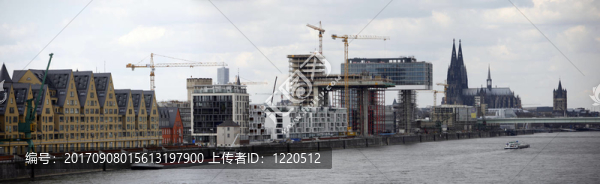 科隆