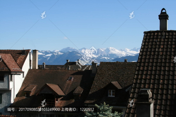 山