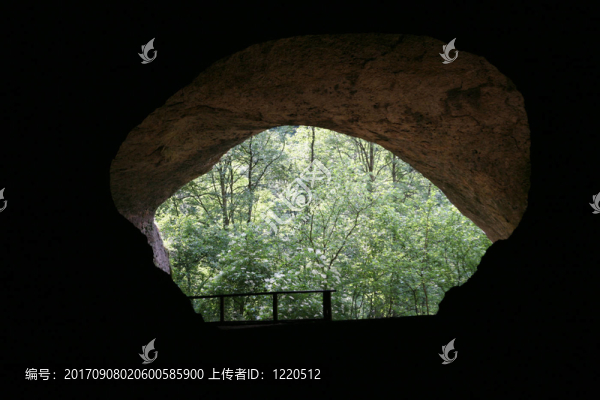 路德維希的洞穴