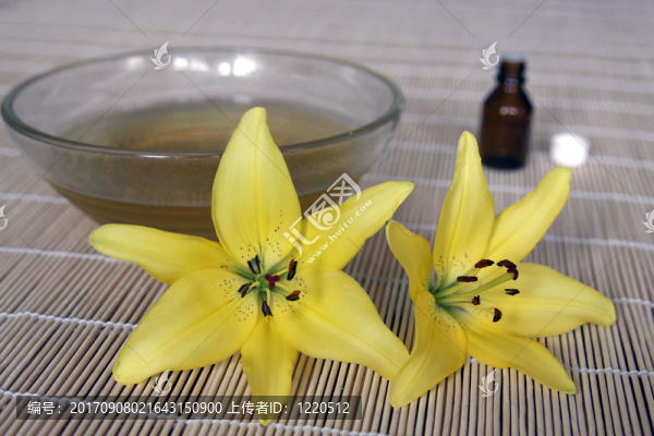 櫻花