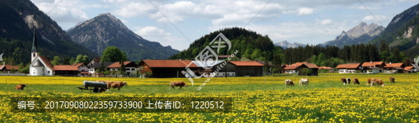 國王已經(jīng)在那里了…