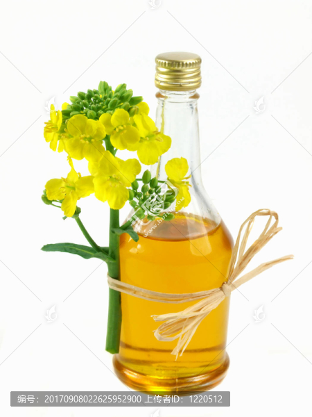 菜籽油