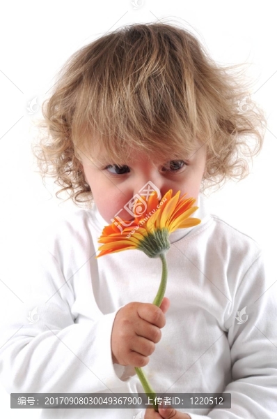 芬芳