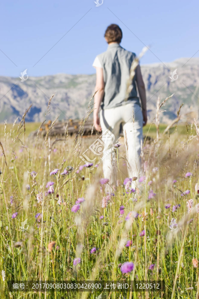 在高山草地徒步旅行的女人