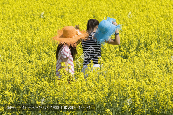 油菜地里的青少年