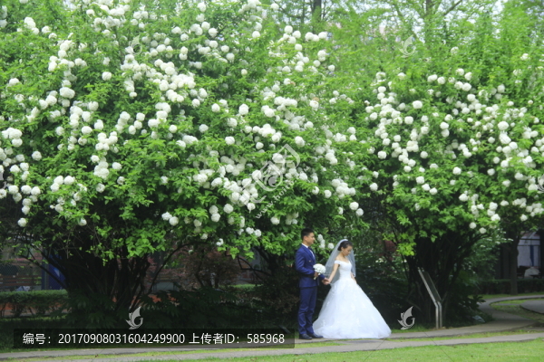花海中拍婚紗