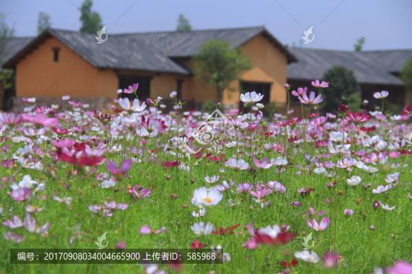 道林古鎮(zhèn)格?；ê? title=