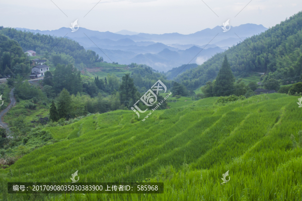 七星嶺湖洋梯田風(fēng)景區(qū)