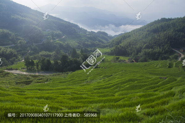 七星嶺湖洋梯田風(fēng)景區(qū)