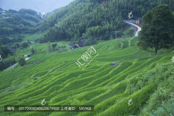 七星嶺湖洋梯田風(fēng)景區(qū)