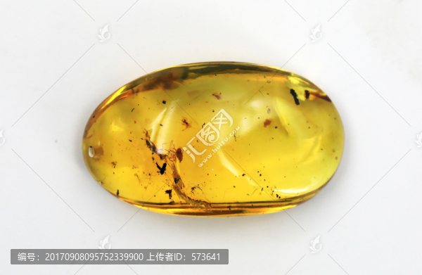 琥珀,蜜蠟,吊墜,蟲珀