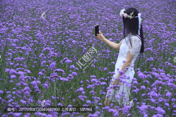 陶醉在花海中美女自拍