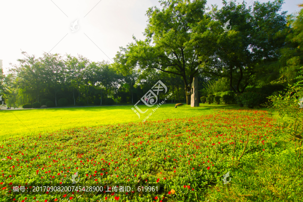 綠樹(shù)草地