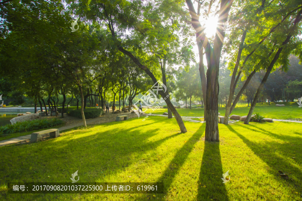綠樹(shù)草地