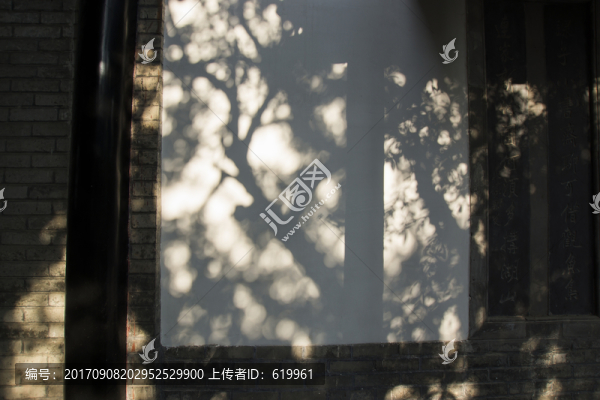 古墻樹影