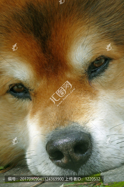喘息