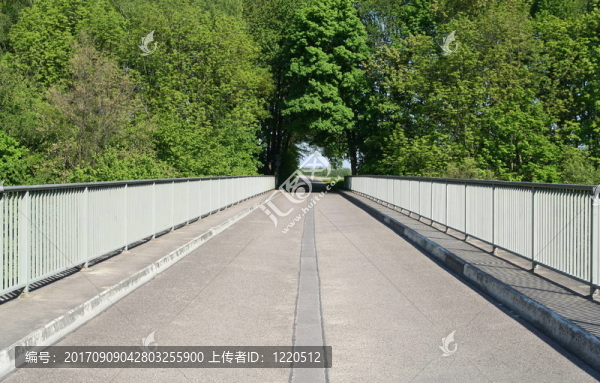 橋