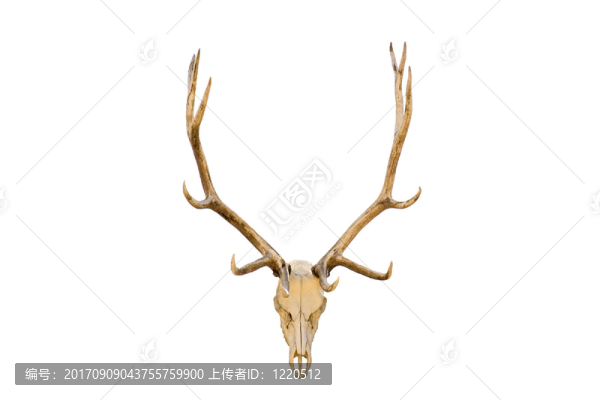 分離