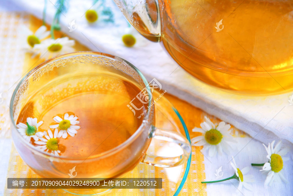 杯