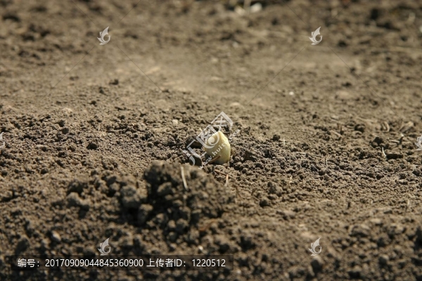 場(chǎng)