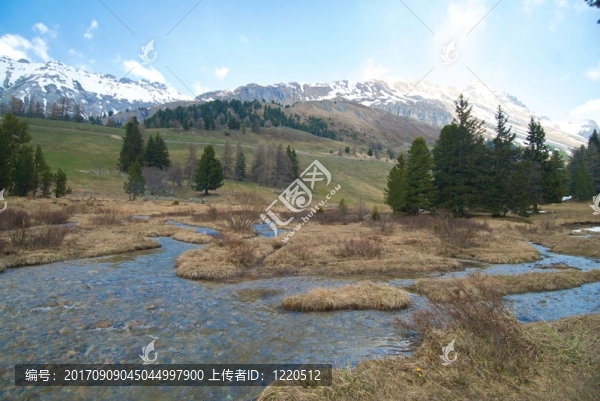 albulapass