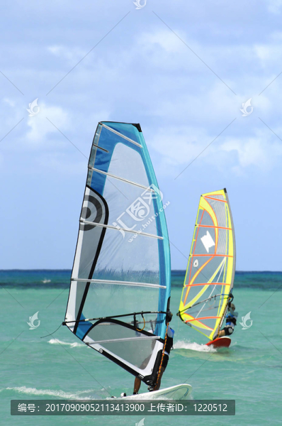運動