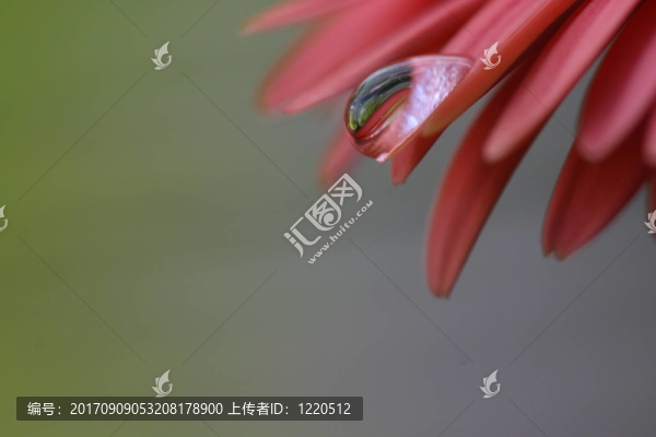 顏色