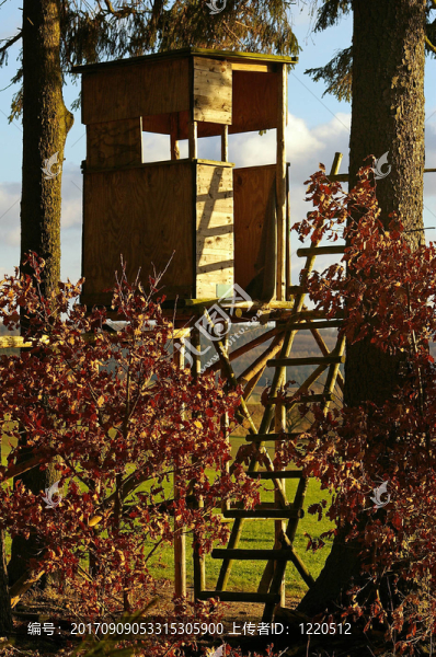 deerstand