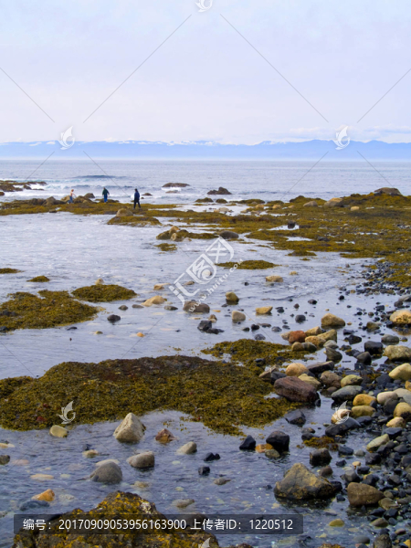 海灘