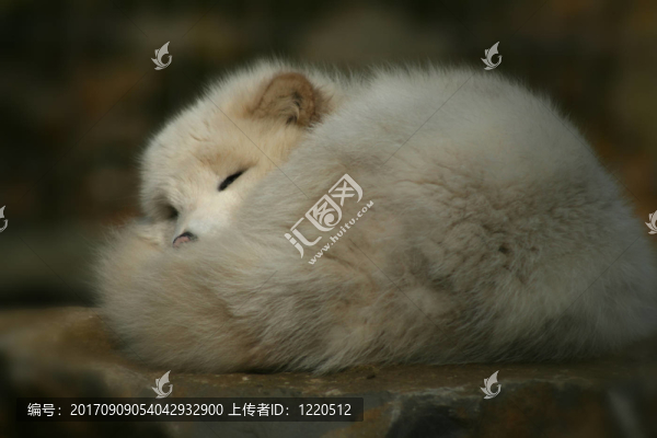 午睡